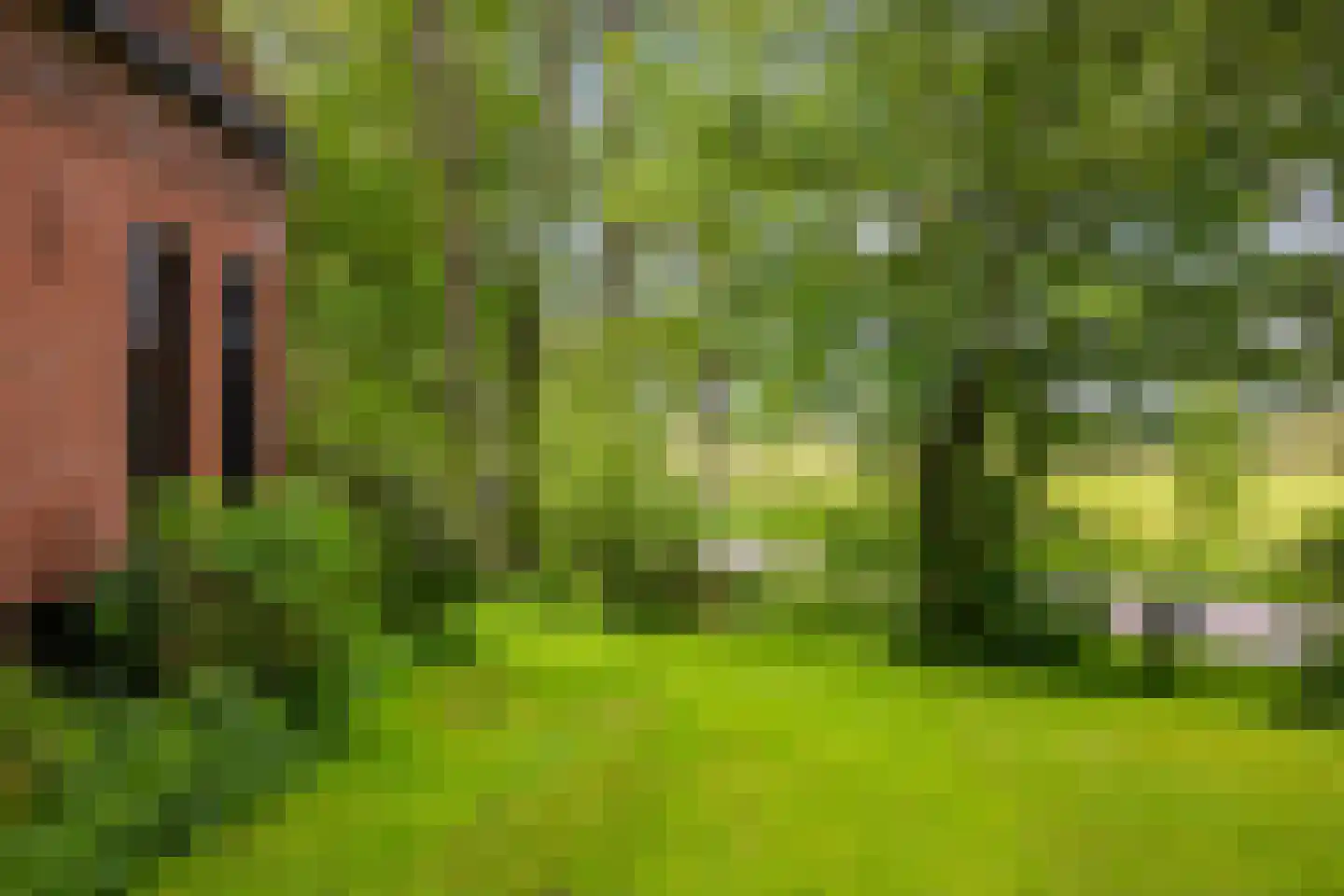 de Dôlle 17 De Trieme thumbnail 49