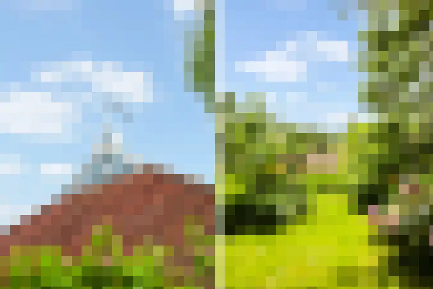 de Dôlle 17 De Trieme thumbnail 50