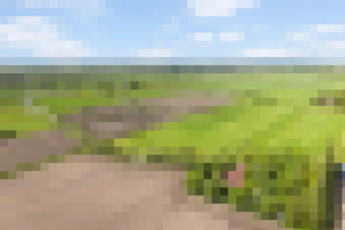 de Dôlle 17 De Trieme thumbnail 57