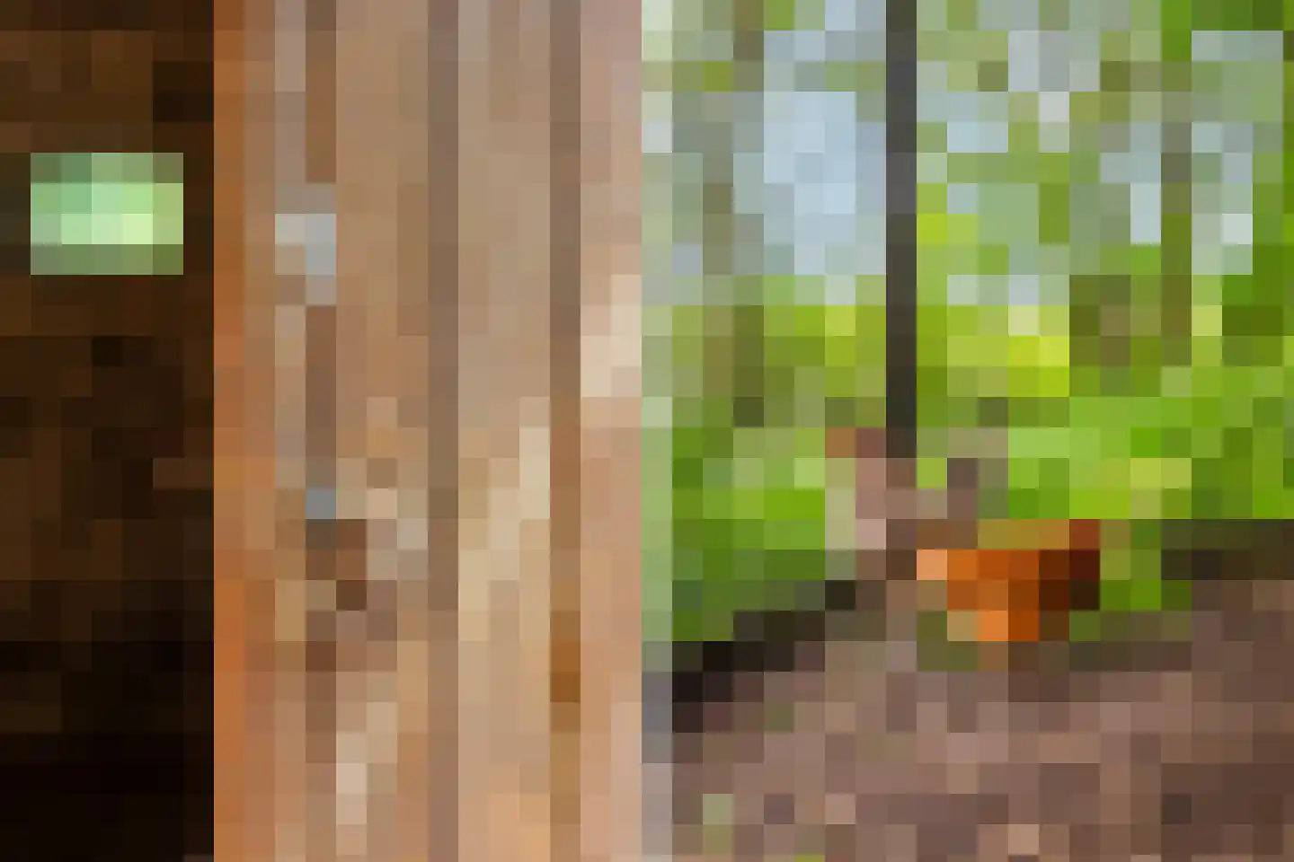 de Dôlle 17 De Trieme thumbnail 59