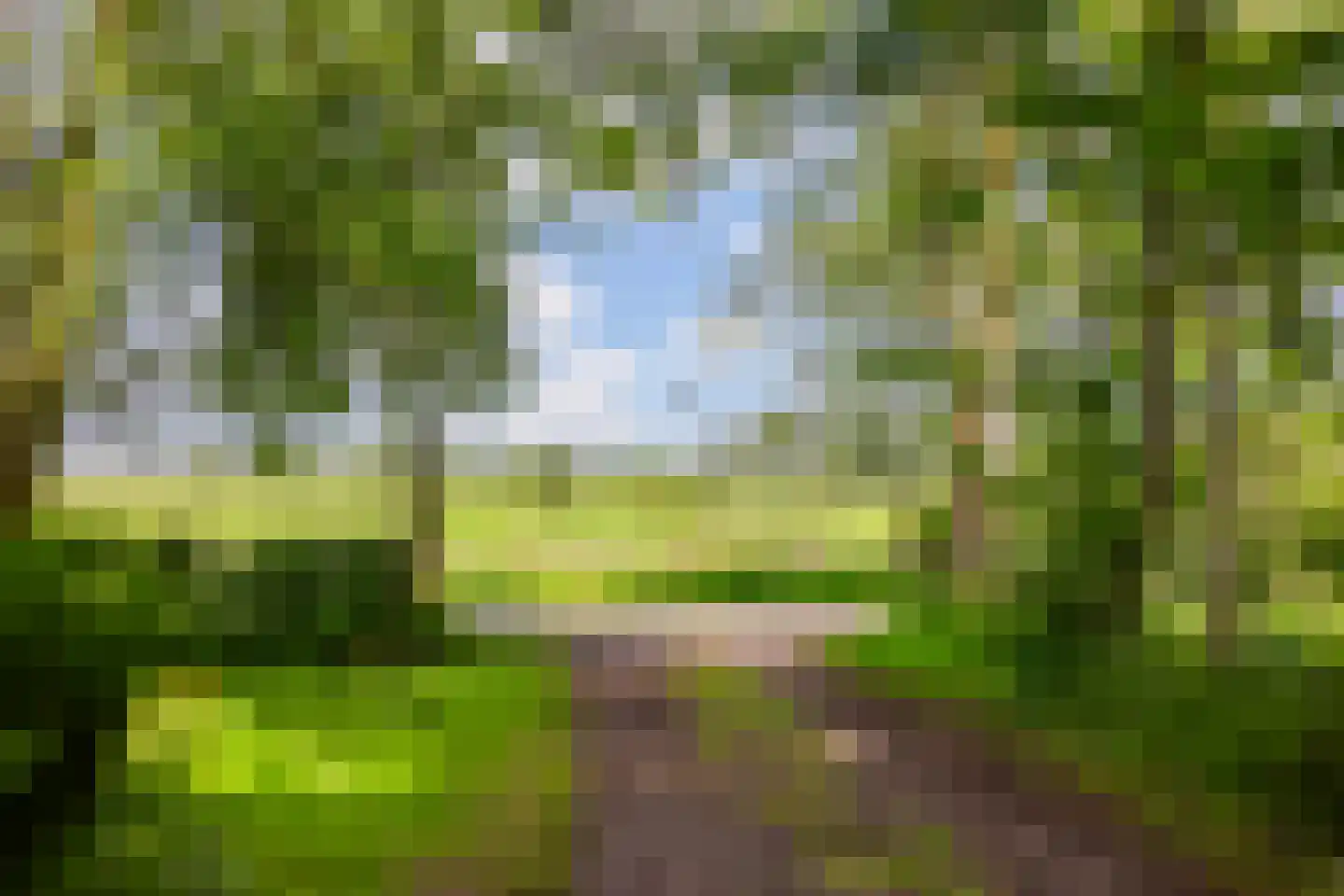 de Dôlle 17 De Trieme thumbnail 60