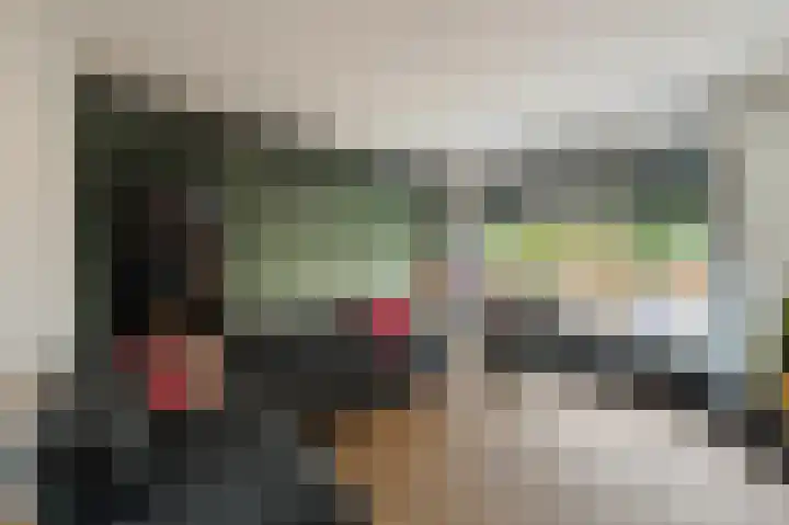 de Dolomieten 7 Emmeloord thumbnail 10