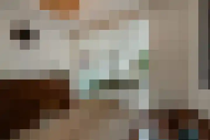 de Dolomieten 7 Emmeloord thumbnail 13