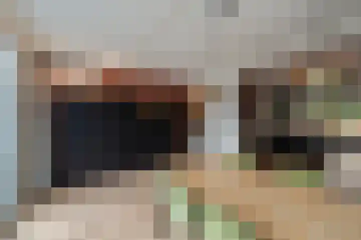 de Dolomieten 7 Emmeloord thumbnail 16