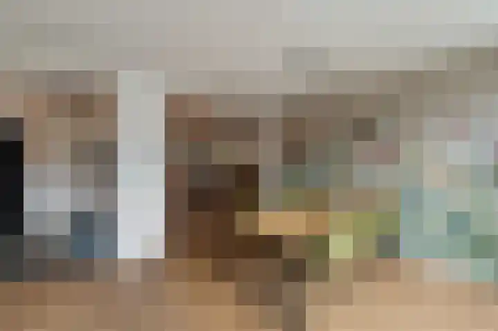 de Dolomieten 7 Emmeloord thumbnail 17