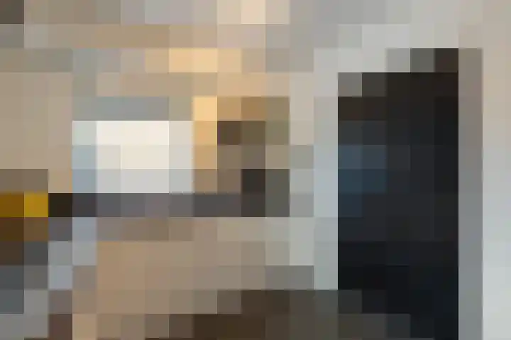 de Dolomieten 7 Emmeloord thumbnail 18