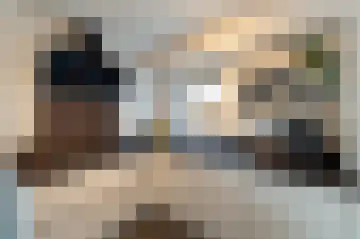 de Dolomieten 7 Emmeloord thumbnail 19