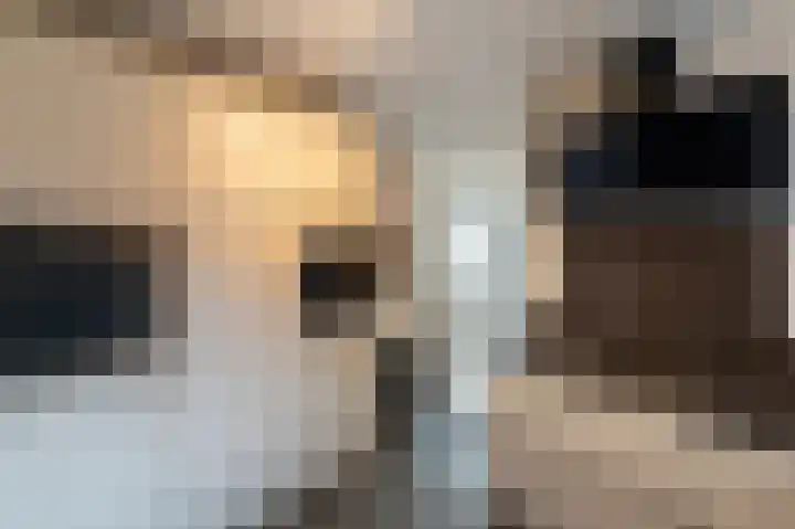 de Dolomieten 7 Emmeloord thumbnail 20
