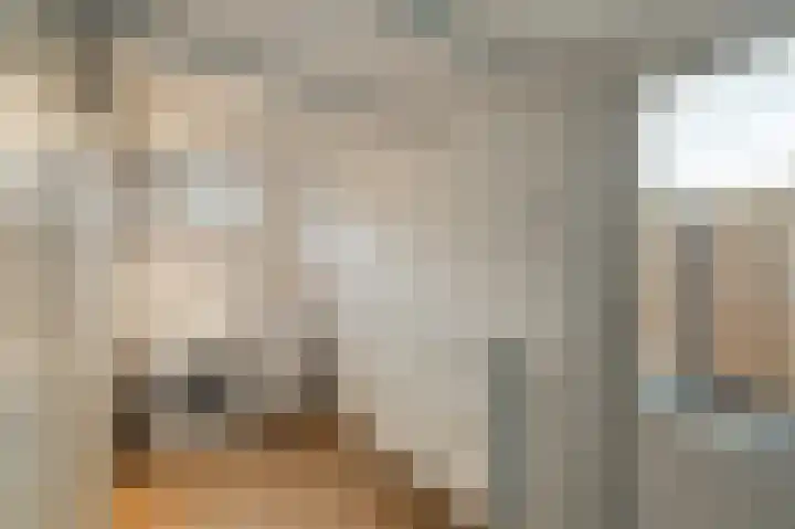 de Dolomieten 7 Emmeloord thumbnail 21