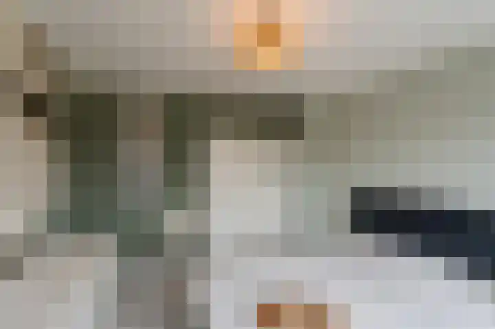 de Dolomieten 7 Emmeloord thumbnail 26