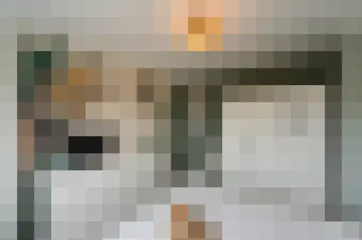 de Dolomieten 7 Emmeloord thumbnail 27