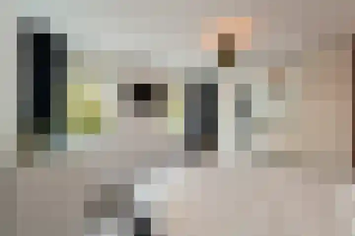 de Dolomieten 7 Emmeloord thumbnail 31