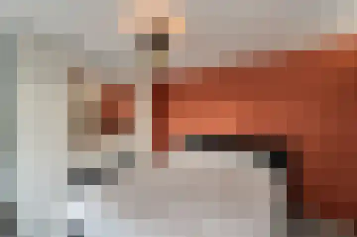 de Dolomieten 7 Emmeloord thumbnail 32