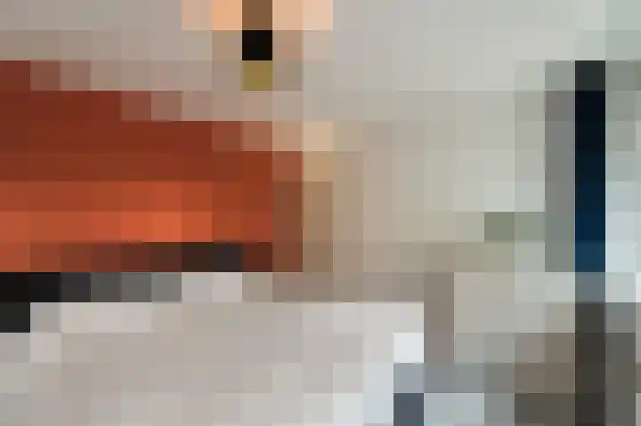 de Dolomieten 7 Emmeloord thumbnail 33