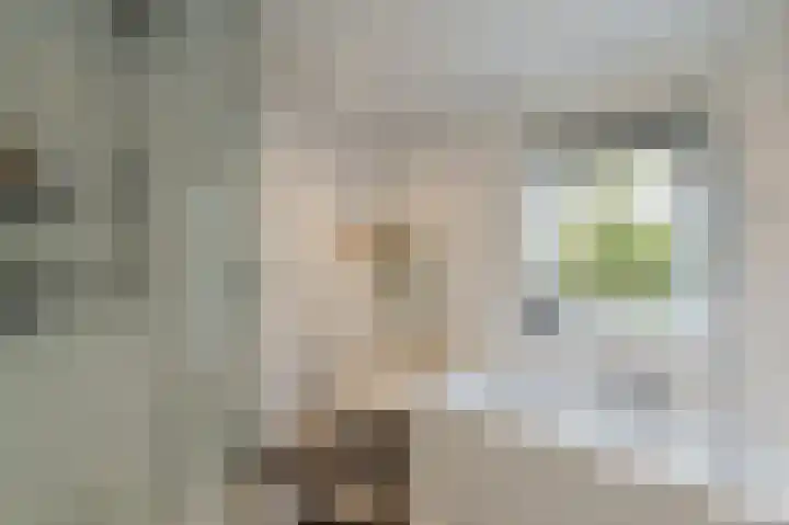 de Dolomieten 7 Emmeloord thumbnail 34