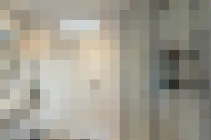 de Dolomieten 7 Emmeloord thumbnail 36