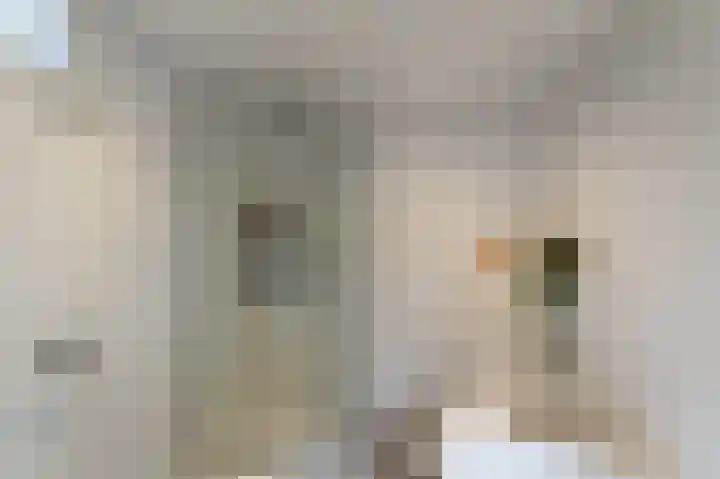 de Dolomieten 7 Emmeloord thumbnail 37