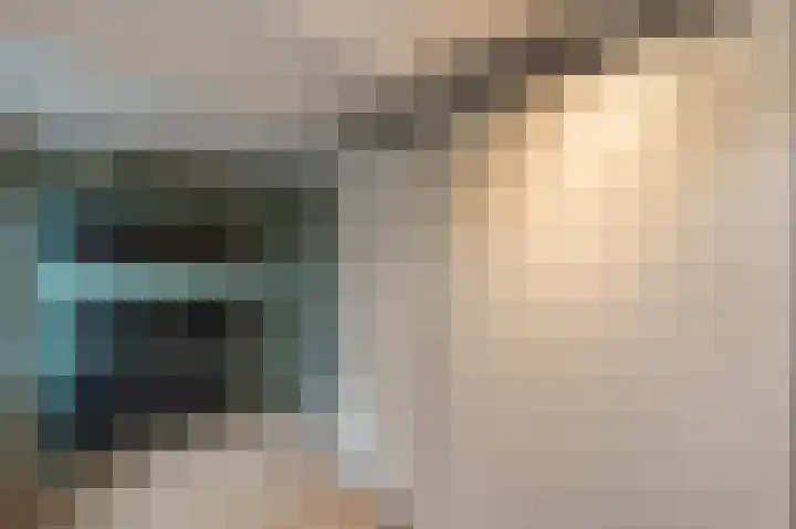 de Dolomieten 7 Emmeloord thumbnail 40