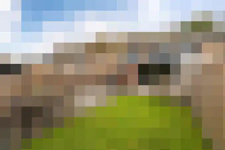 de Dolomieten 7 Emmeloord thumbnail 42