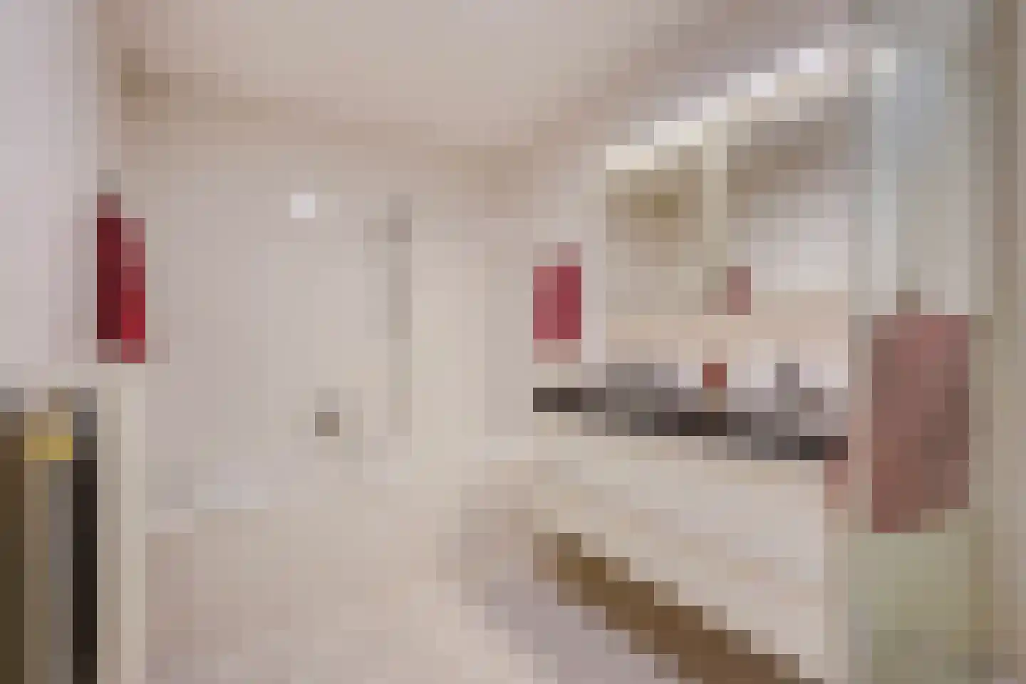De Dommel 18 Naaldwijk thumbnail 28