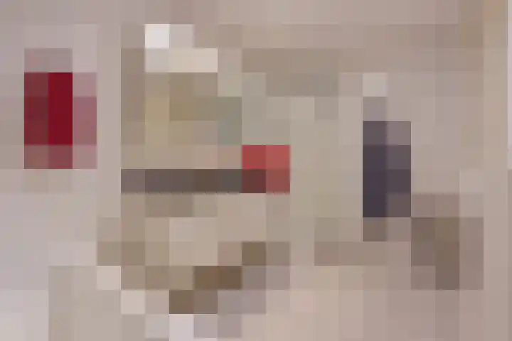 De Dommel 18 Naaldwijk thumbnail 29