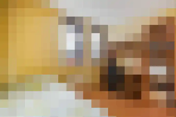 De Dommel 18 Naaldwijk thumbnail 31