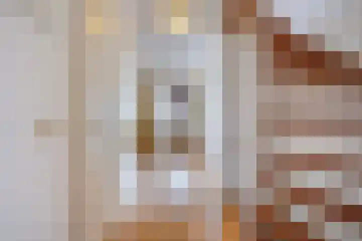 De Dommel 18 Naaldwijk thumbnail 36