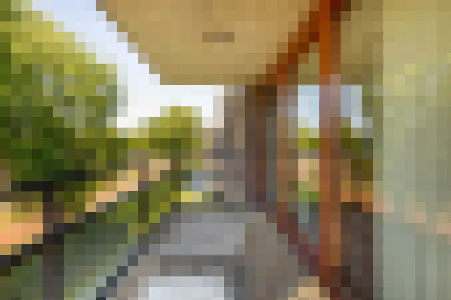 De Dommel 31 Naaldwijk thumbnail 15
