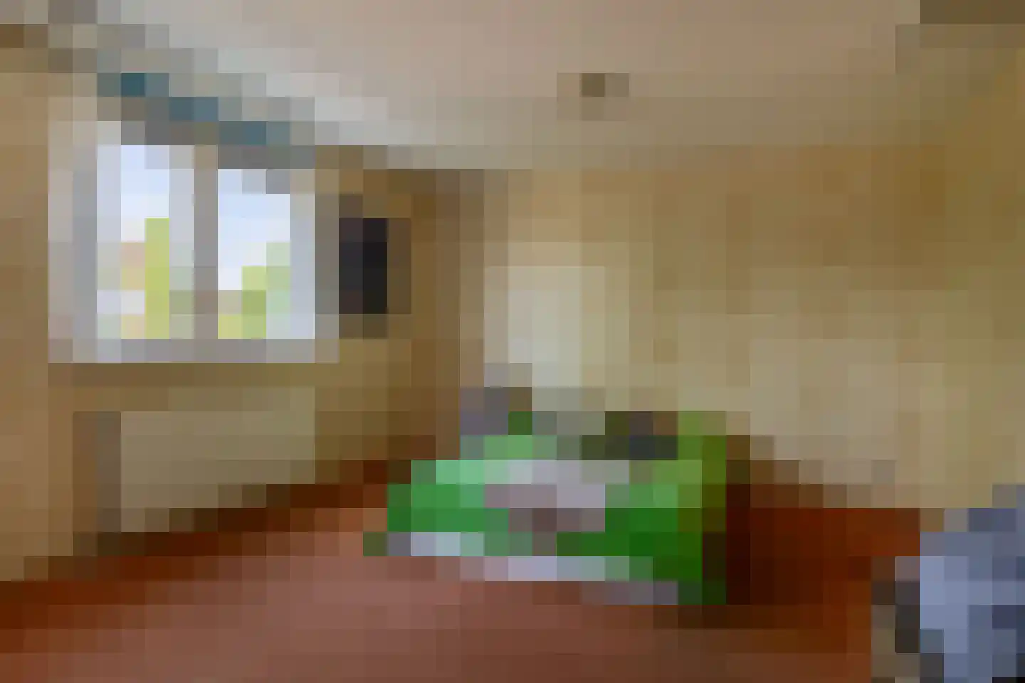 De Dommel 31 Naaldwijk thumbnail 16