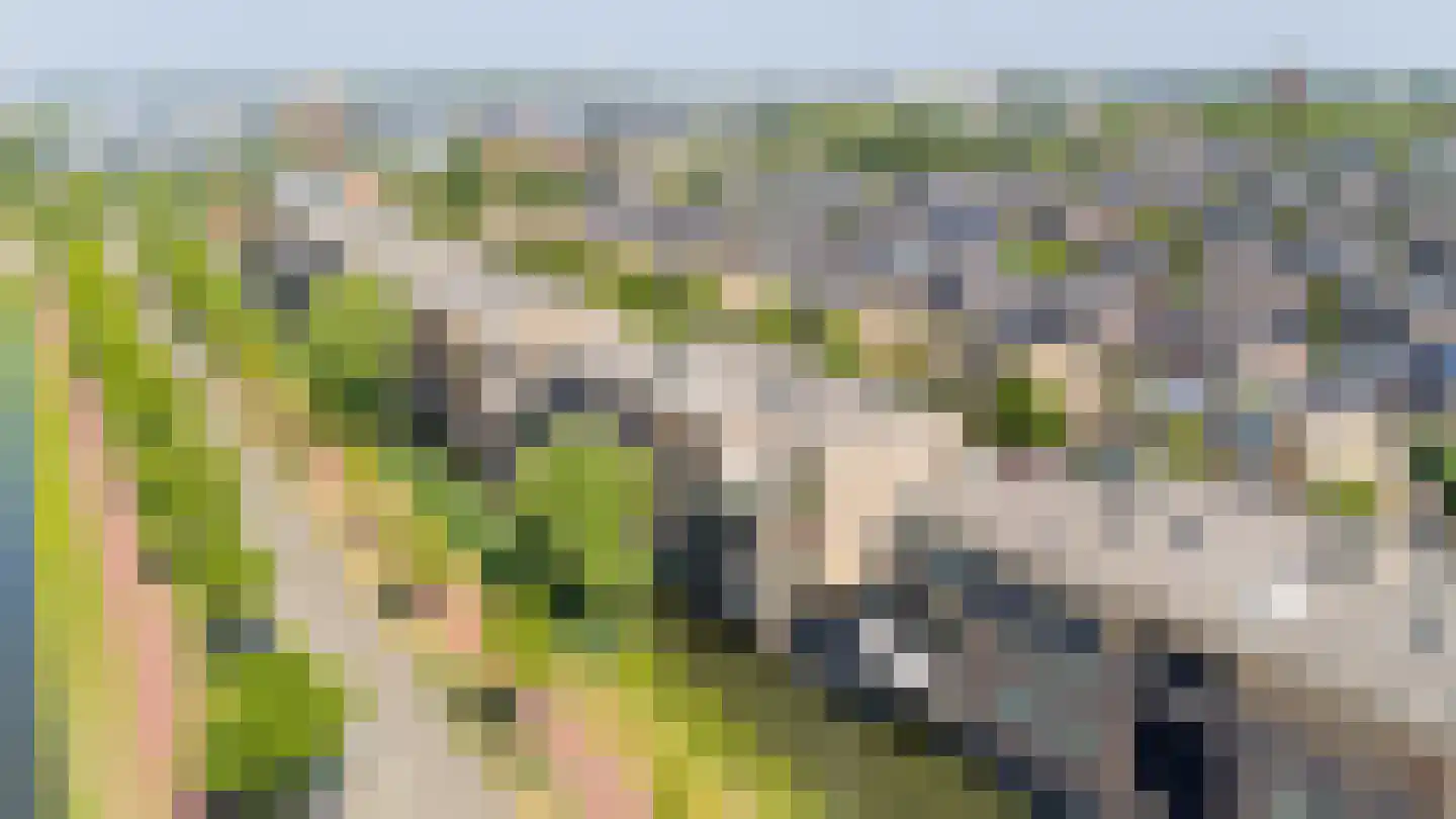 De Dommel 31 Naaldwijk thumbnail 32
