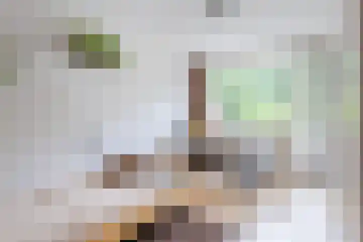 De Dommel 36 Goirle thumbnail 17