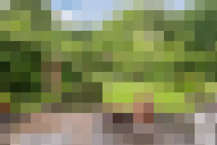 De Dommel 36 Goirle thumbnail 27