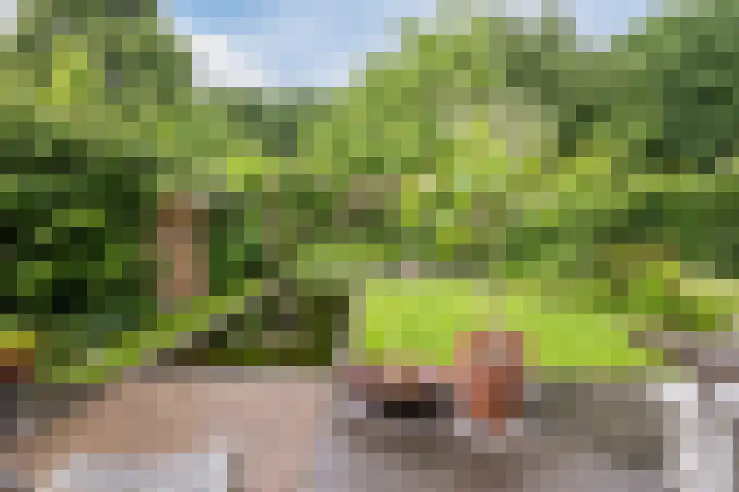 De Dommel 36 Goirle thumbnail 27