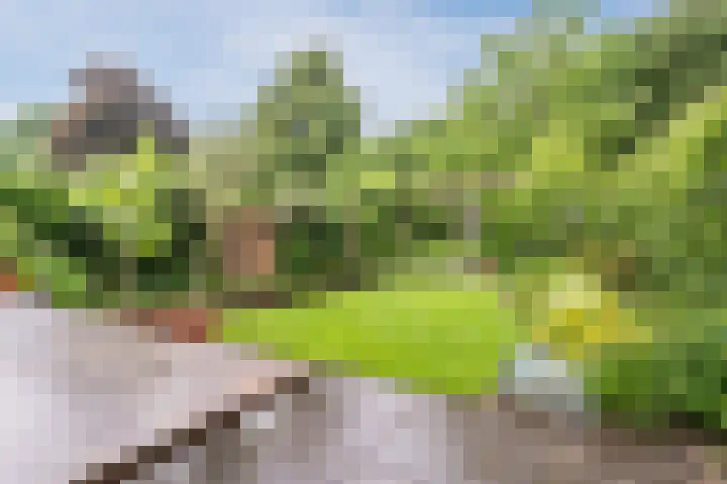 De Dommel 36 Goirle thumbnail 28