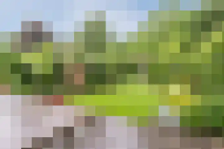 De Dommel 36 Goirle thumbnail 28