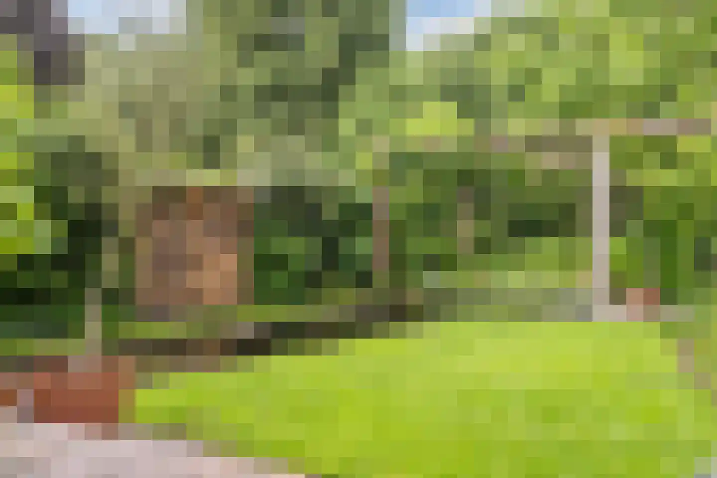De Dommel 36 Goirle thumbnail 29