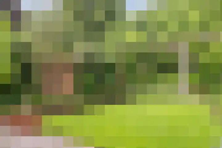 De Dommel 36 Goirle thumbnail 29