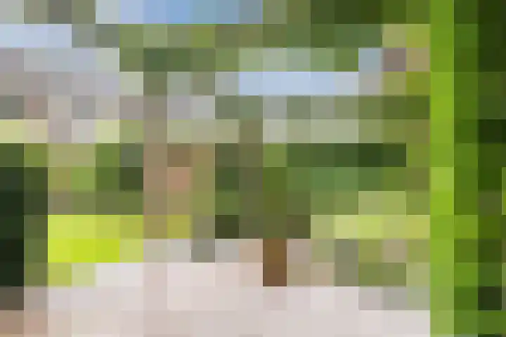 De Dommel 36 Goirle thumbnail 30