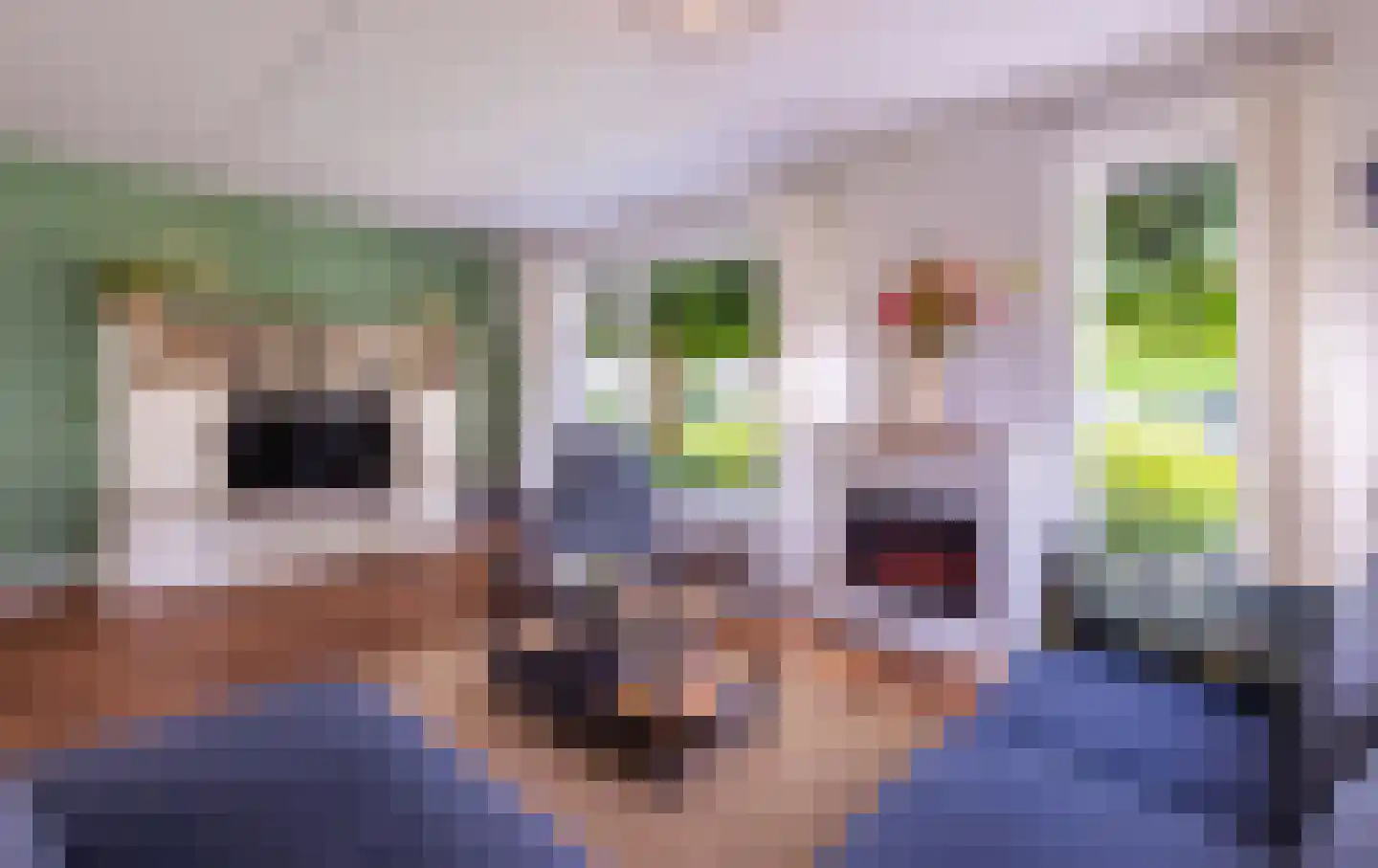 de Dommel 4 Hattem thumbnail 10