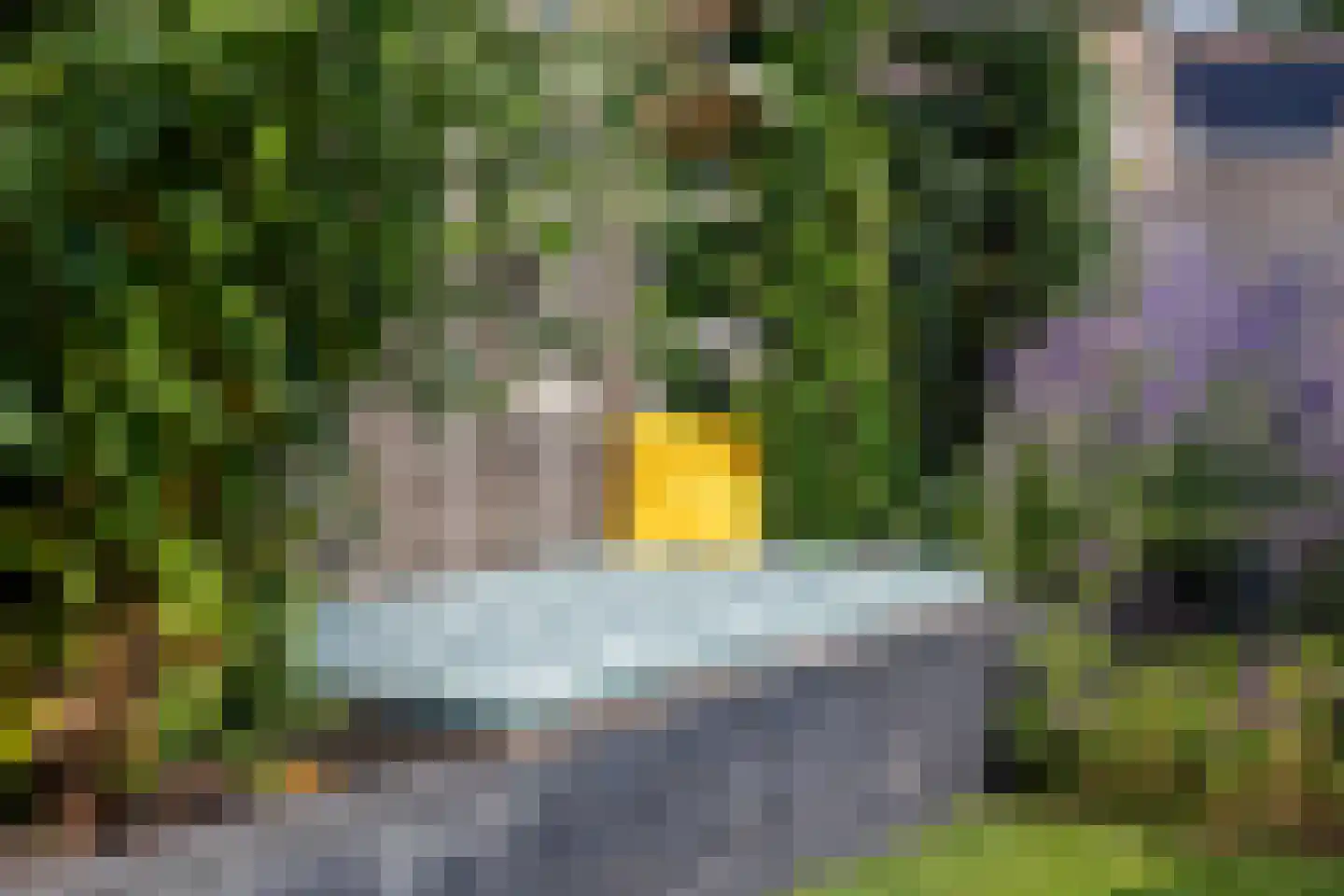 de Dommel 4 Hattem thumbnail 42