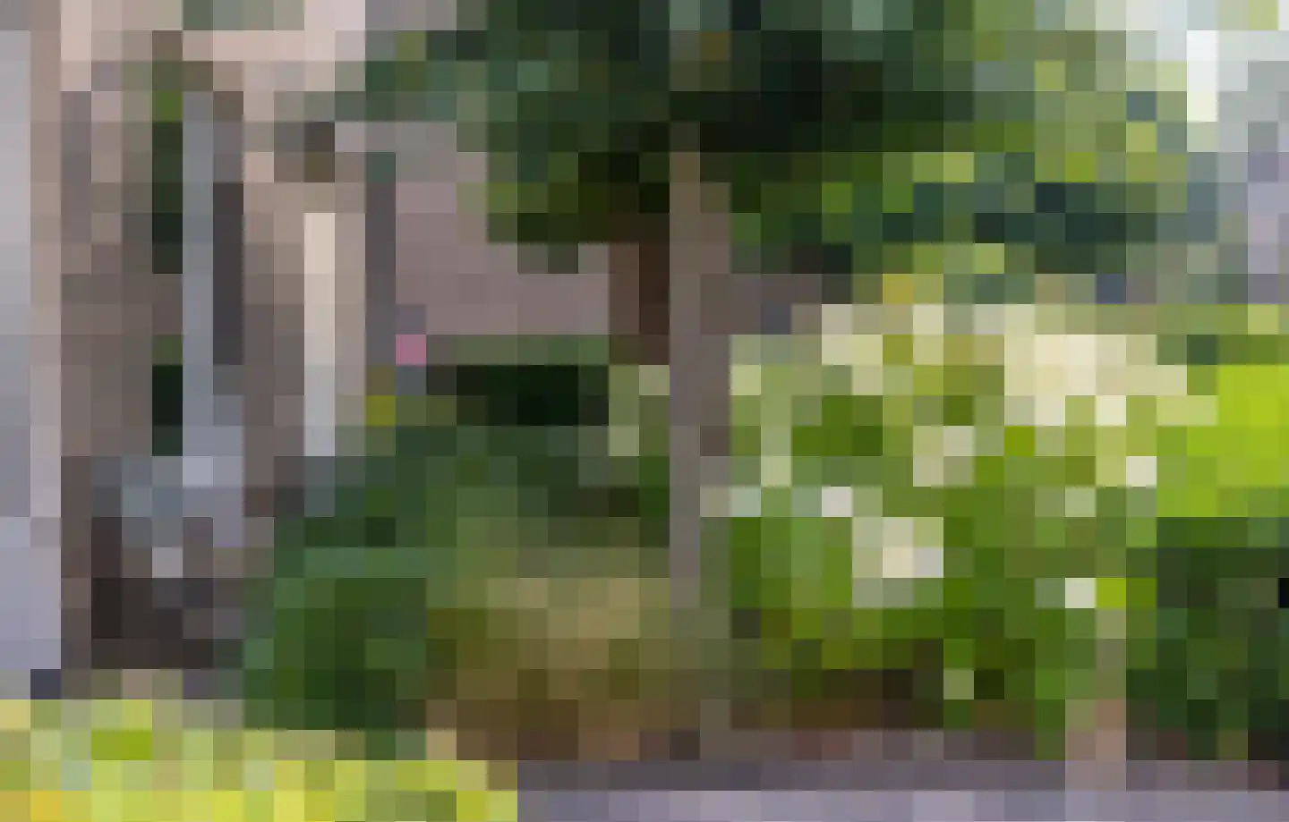 de Dommel 4 Hattem thumbnail 44