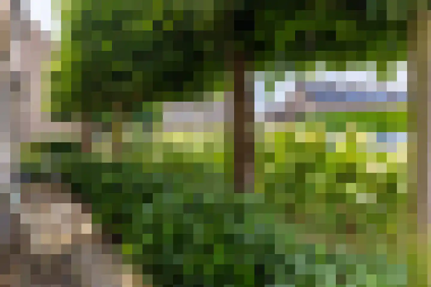de Dommel 4 Hattem thumbnail 5