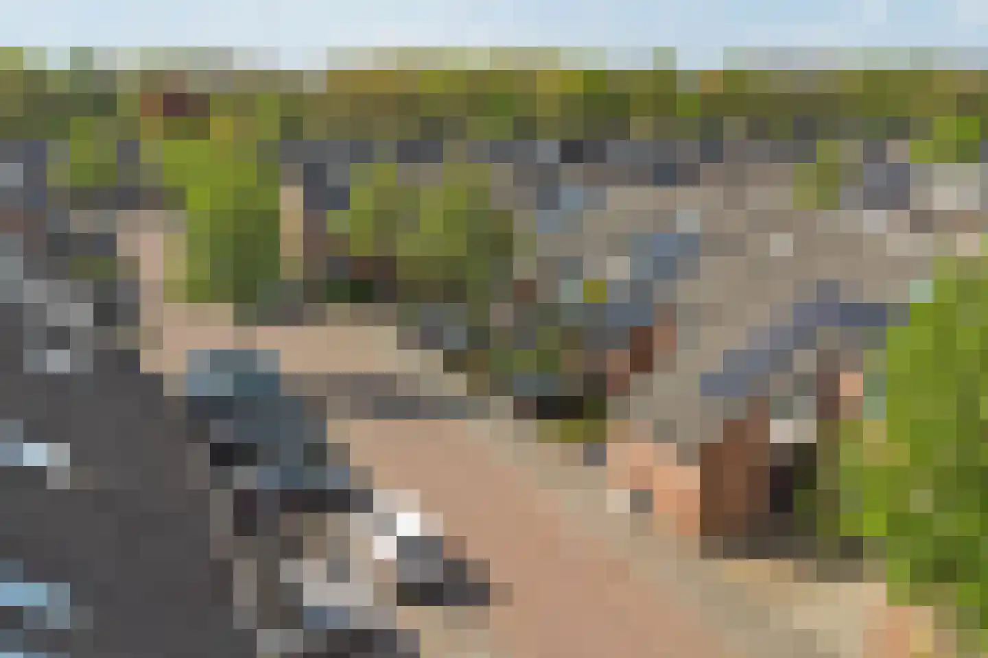 De Dommel 51 Goirle thumbnail 34