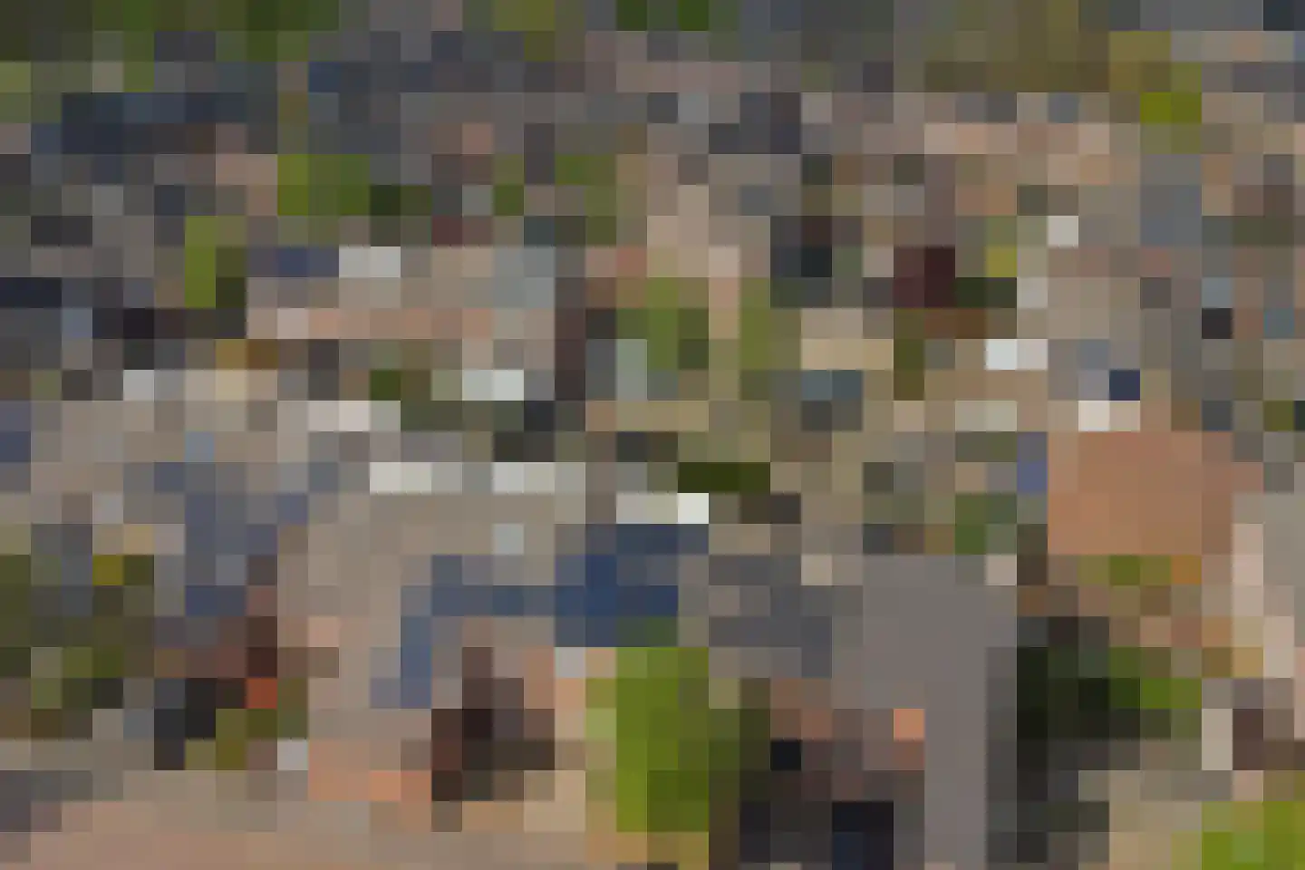 De Dommel 51 Goirle thumbnail 35