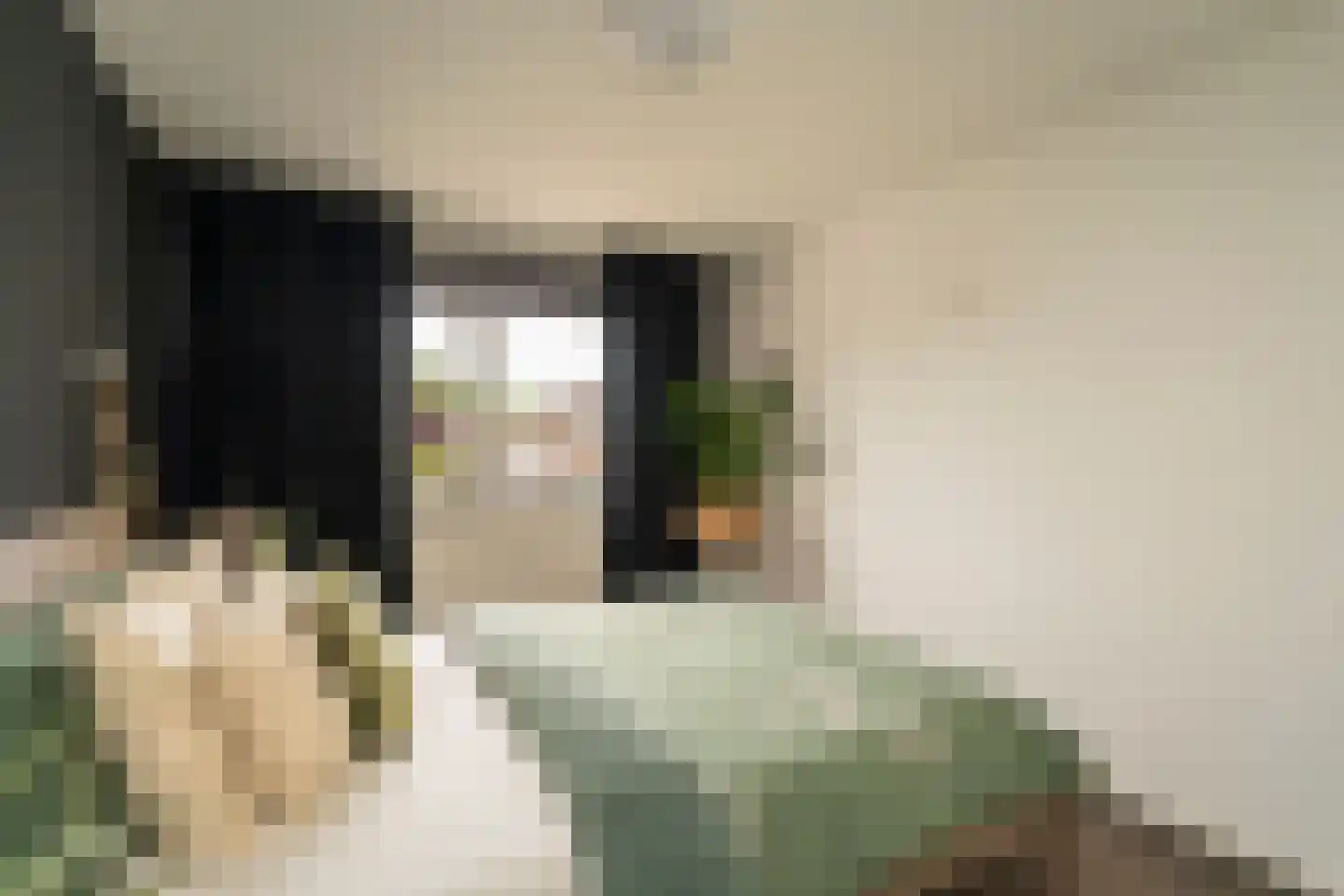 De Dommel 57 Goirle thumbnail 17
