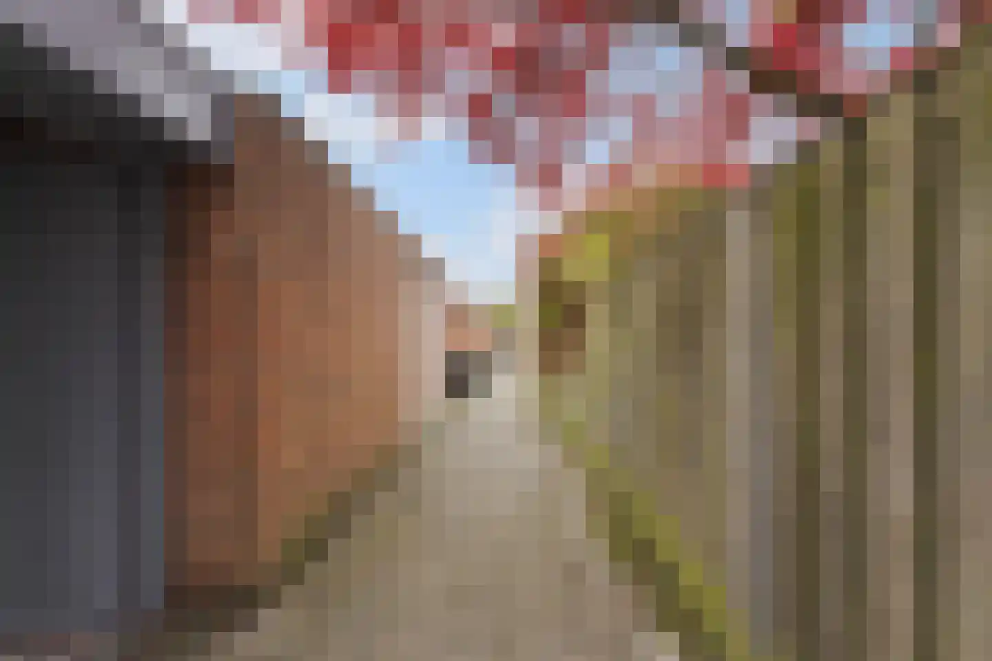 De Dommel 70 Goirle thumbnail 42