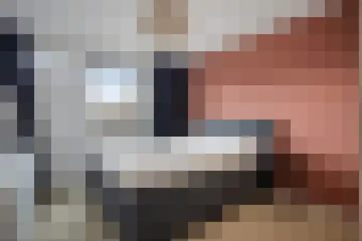 De Dommel 72 Goirle thumbnail 12