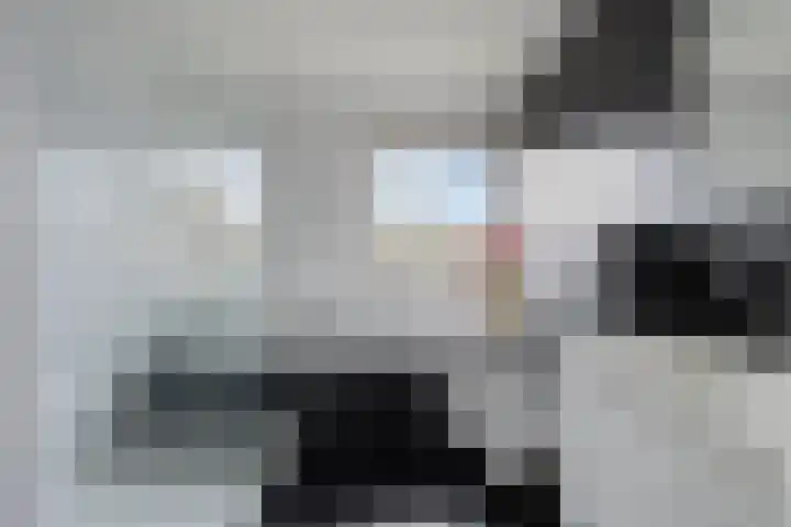 De Dommel 72 Goirle thumbnail 17