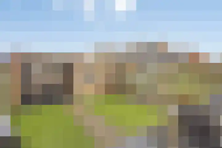 De Dommel 72 Goirle thumbnail 23
