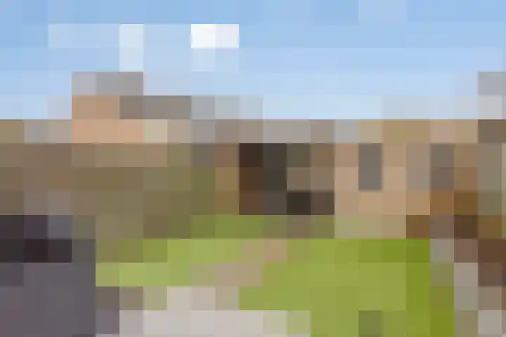 De Dommel 72 Goirle thumbnail 24